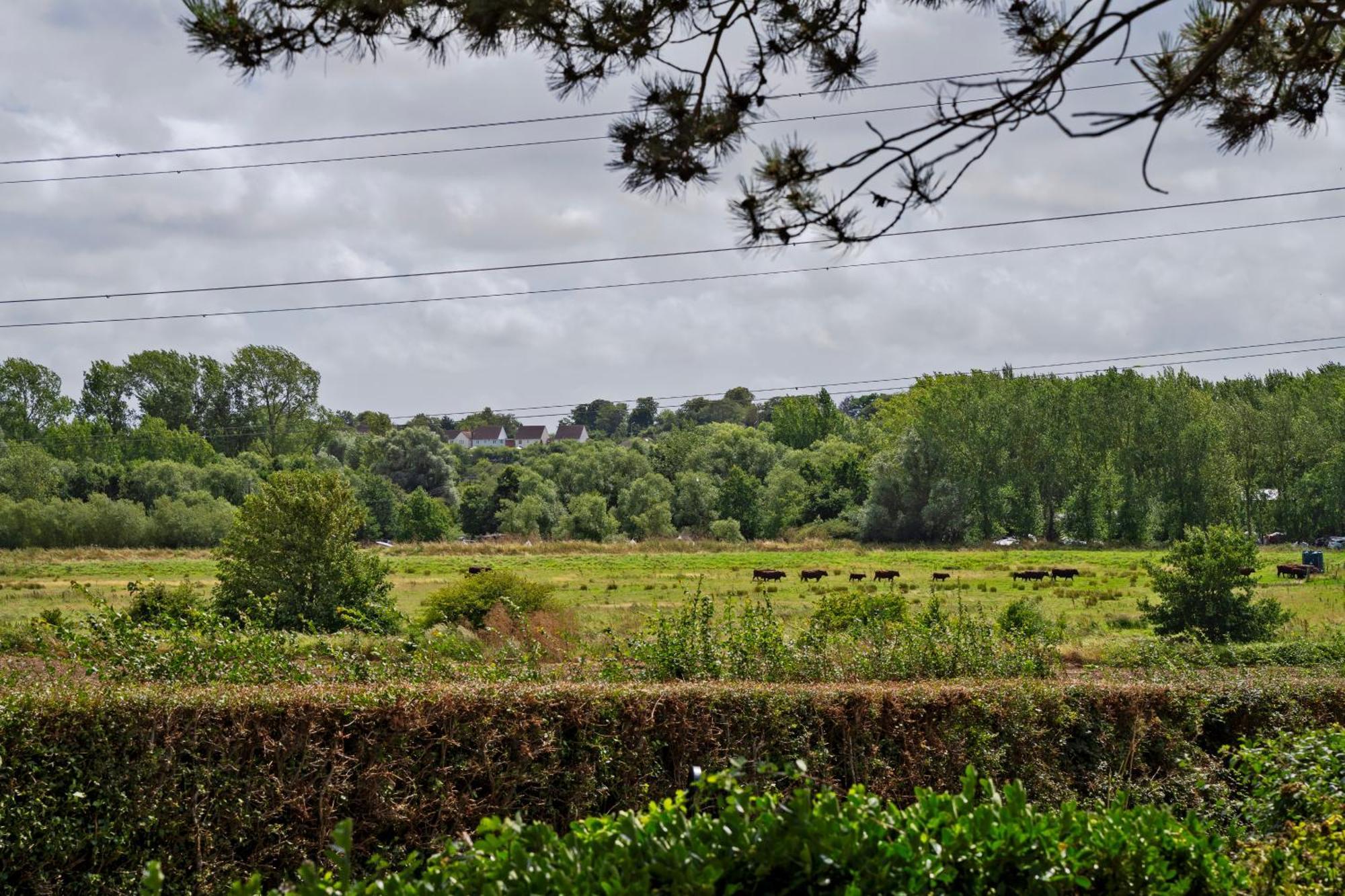 Owlet Lodge Chislet Esterno foto