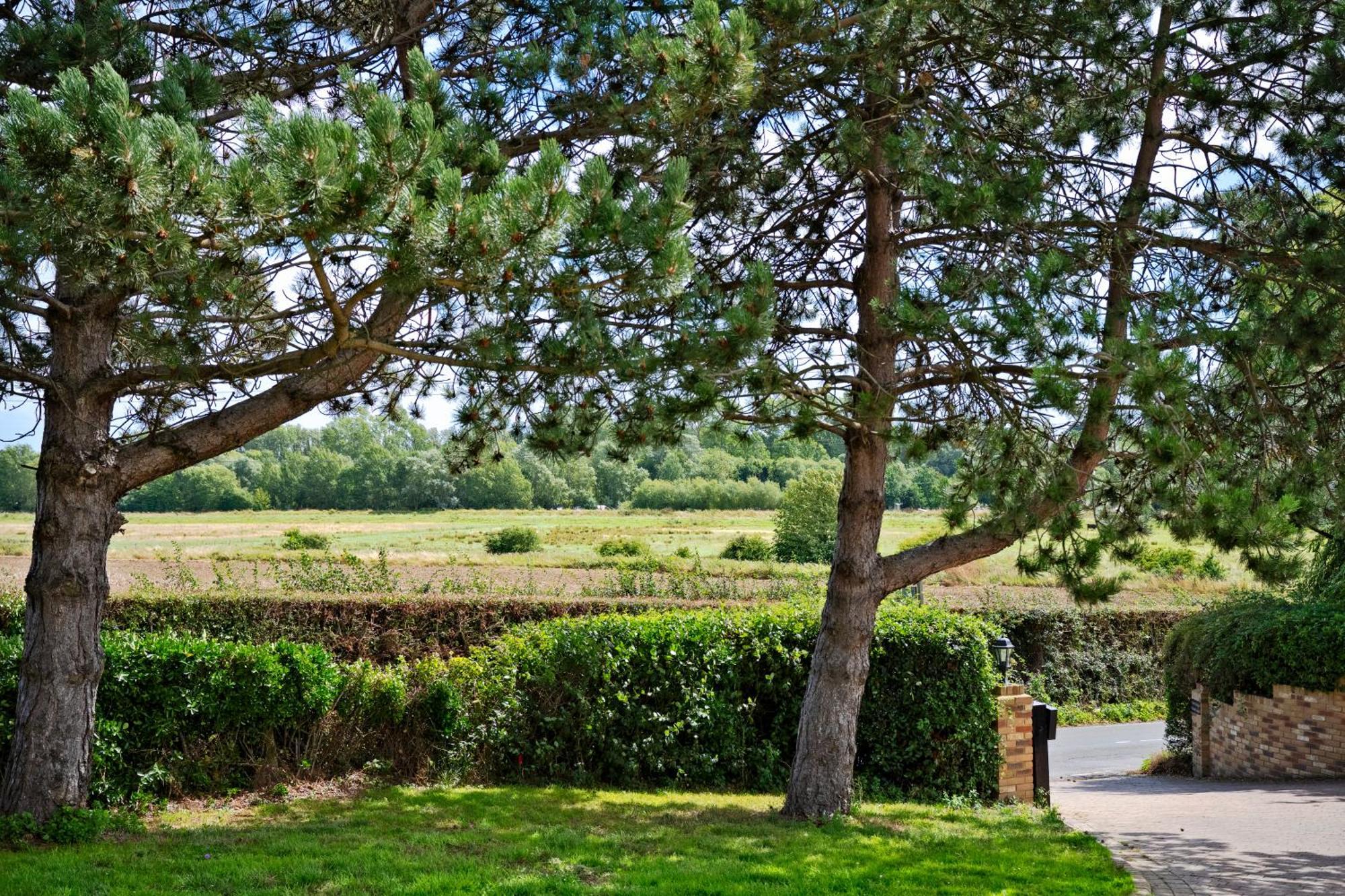 Owlet Lodge Chislet Esterno foto