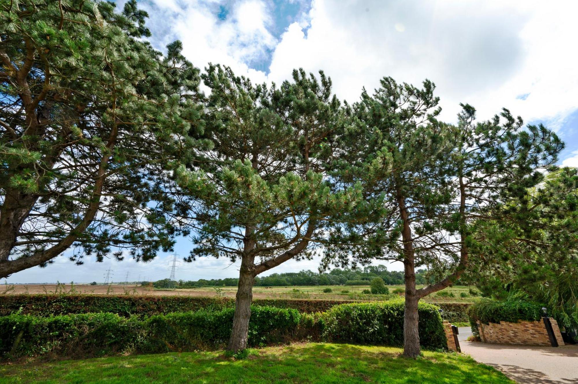 Owlet Lodge Chislet Esterno foto